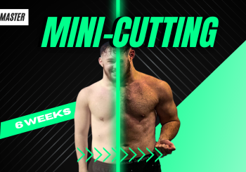 how to mini cut